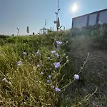 Respiro Glamping Private Retreat With Hot Tub Τσεζένα
