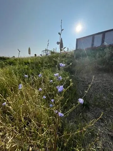 Respiro Glamping Private Retreat With Hot Tub צ'זנה